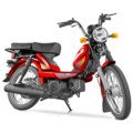 TVS XL100 (BDPrice.com.bd)