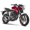 Suzuki Gixxer Dual Tone