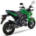 Kawasaki Z125 Pro Back