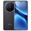 Vivo X300